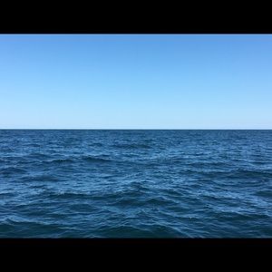 Meet your Posher, Lynne